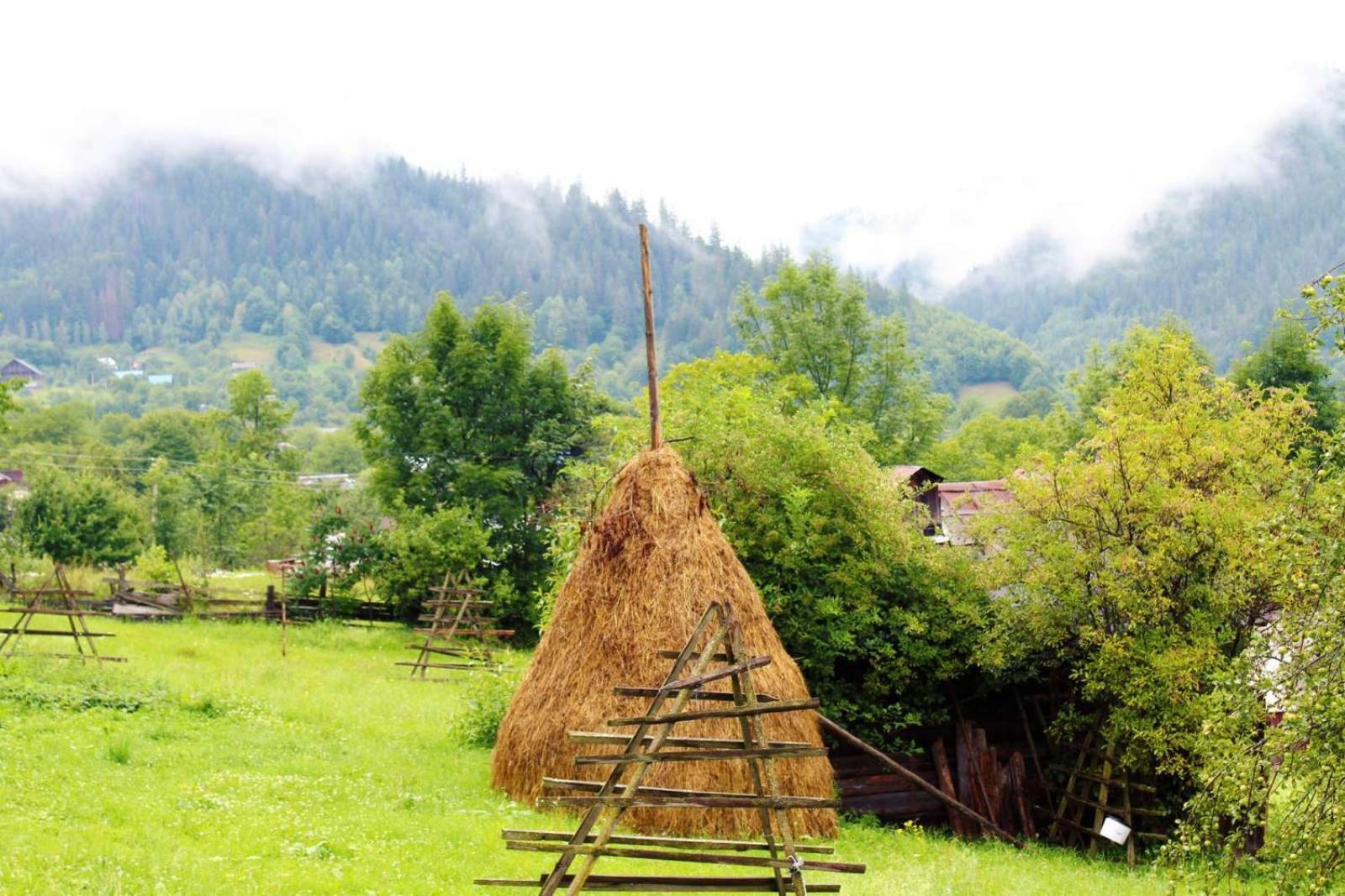 Садиба Кичера Petrashi Exterior photo